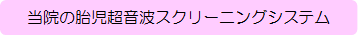 当院の胎児超音波スクリーニングシステム