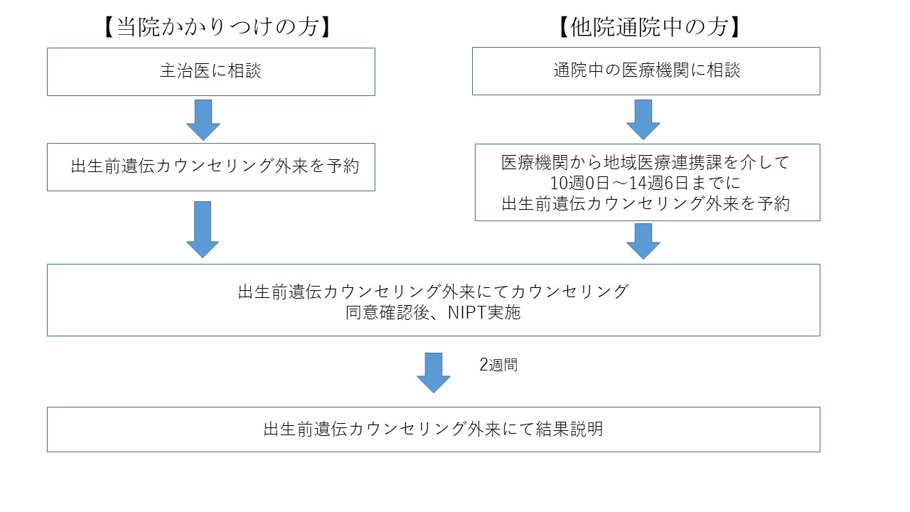 検査の流れ