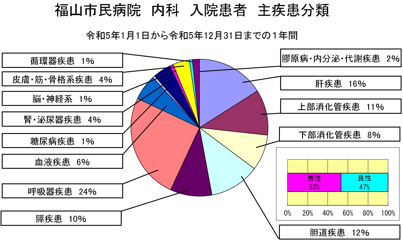 内科　入院患者　主疾患分類