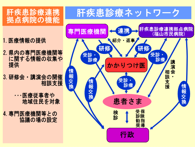 肝疾患連携拠点病院の機能の説明図