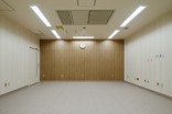 LDR